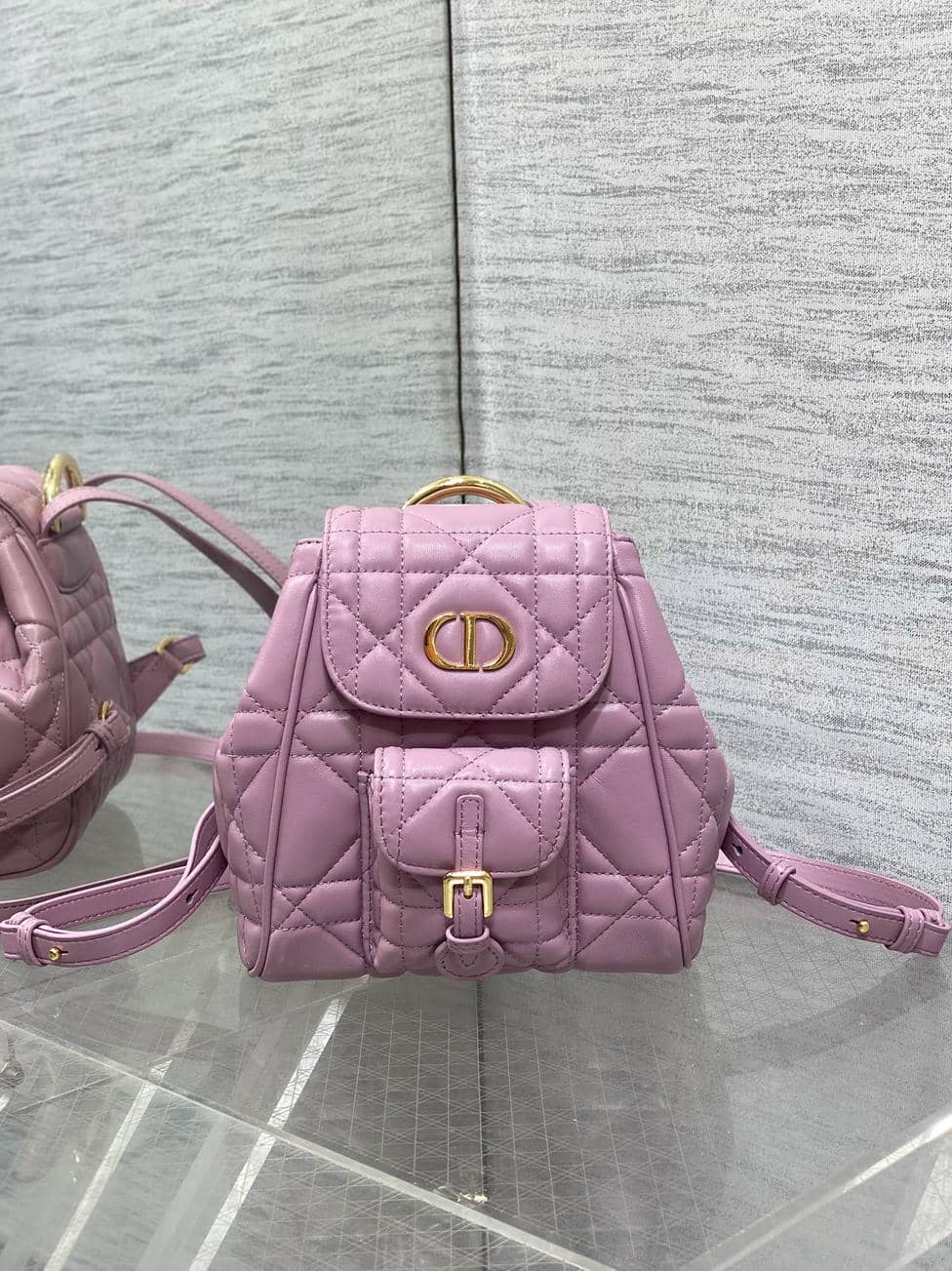 Backpack 005